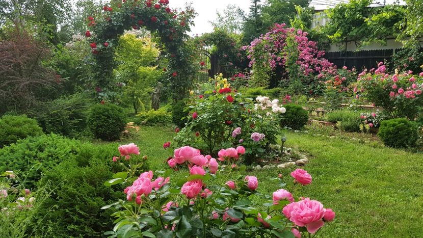  - 2019 Gradina Rozelor