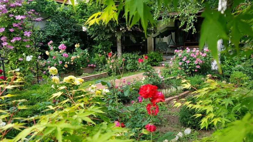  - 2019 Gradina Rozelor