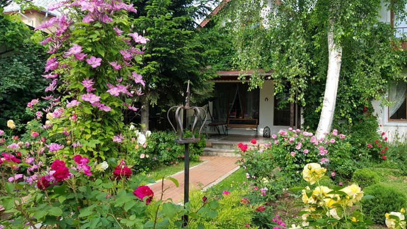  - 2019 Gradina Rozelor