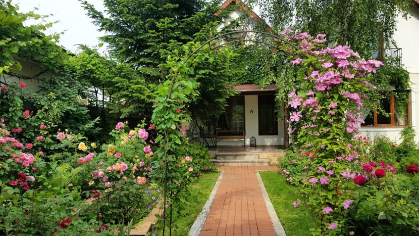  - 2019 Gradina Rozelor