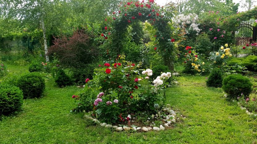  - 2019 Gradina Rozelor