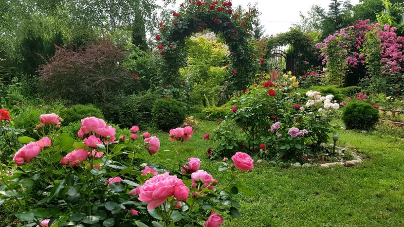  - 2019 Gradina Rozelor