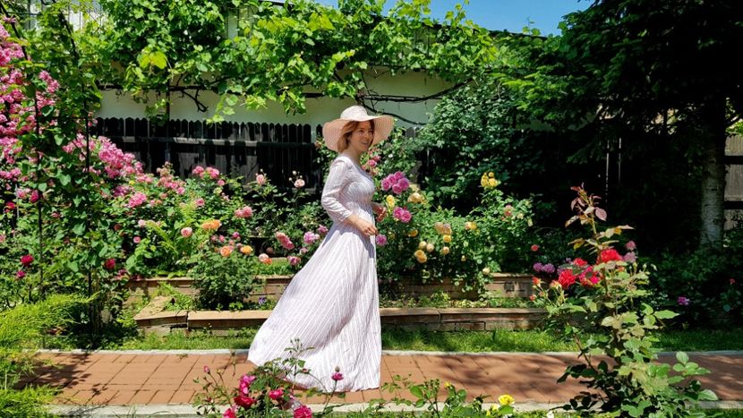  - 2019 Gradina Rozelor