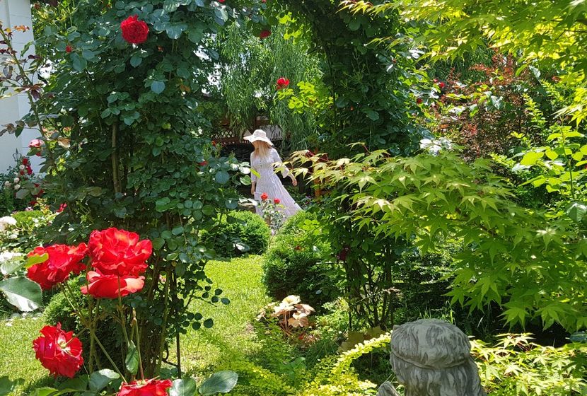  - 2019 Gradina Rozelor