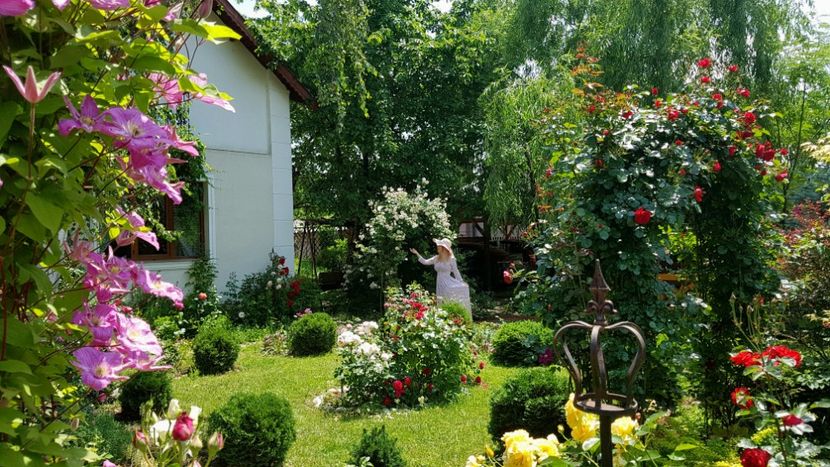  - 2019 Gradina Rozelor