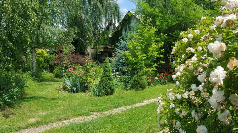  - 2019 Gradina Rozelor