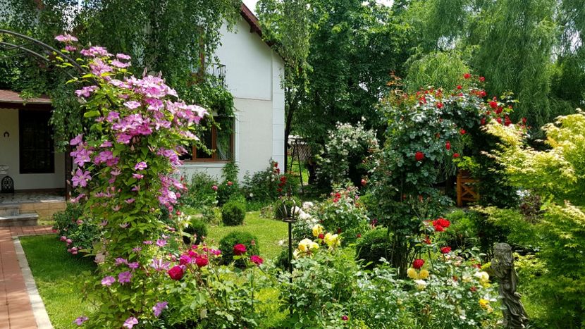  - 2019 Gradina Rozelor
