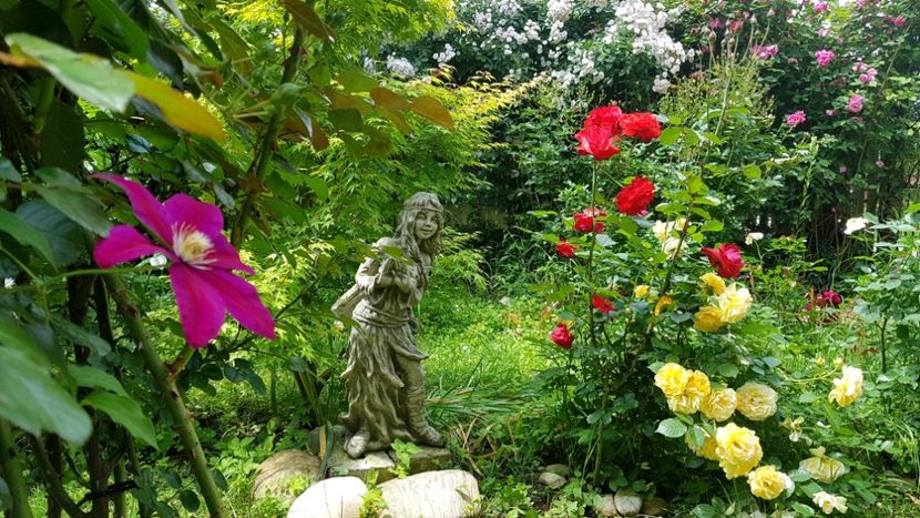  - 2019 Gradina Rozelor