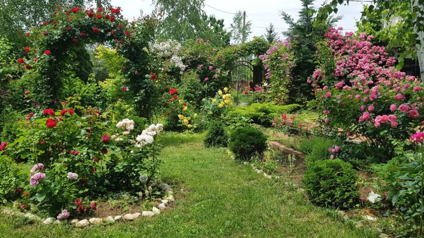  - 2019 Gradina Rozelor