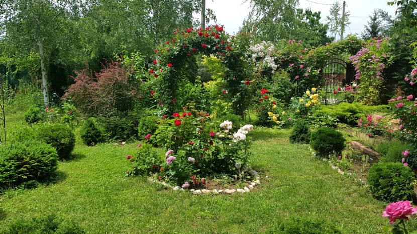  - 2019 Gradina Rozelor