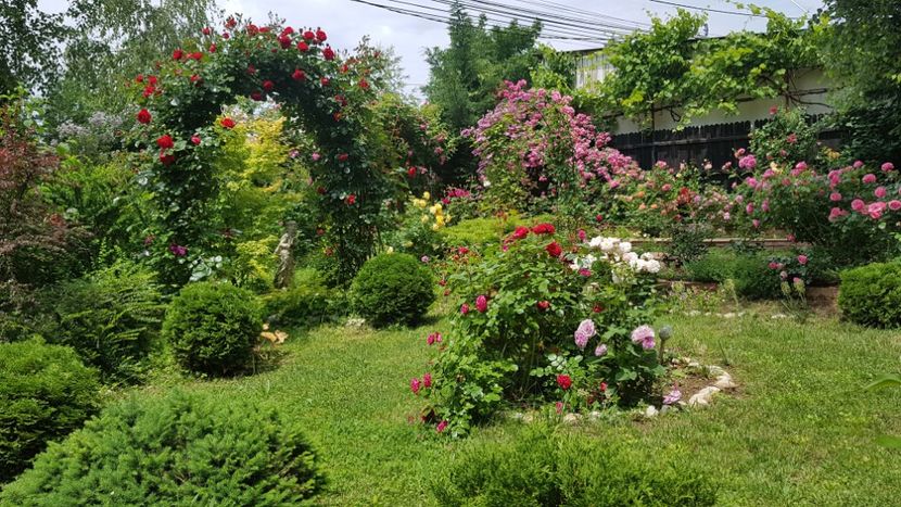  - 2019 Gradina Rozelor