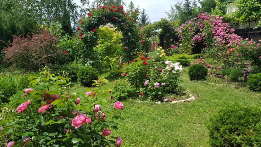  - 2019 Gradina Rozelor