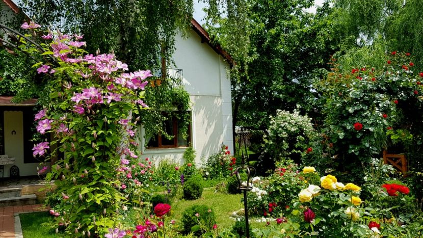  - 2019 Gradina Rozelor