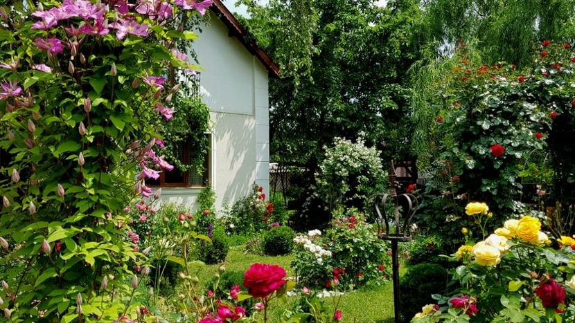  - 2019 Gradina Rozelor