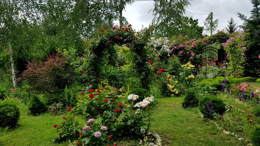  - 2019 Gradina Rozelor