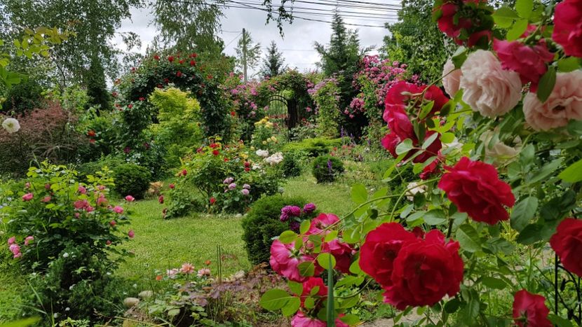  - 2019 Gradina Rozelor