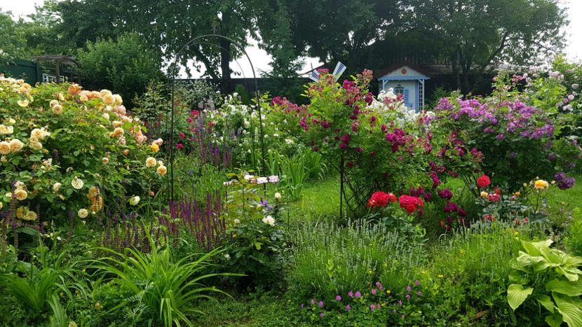  - 2019 Iunie Idilic Garden