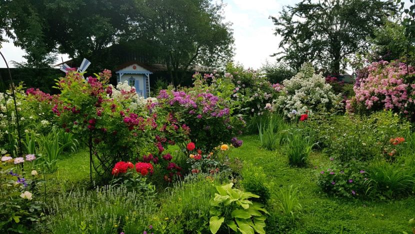  - 2019 Iunie Idilic Garden