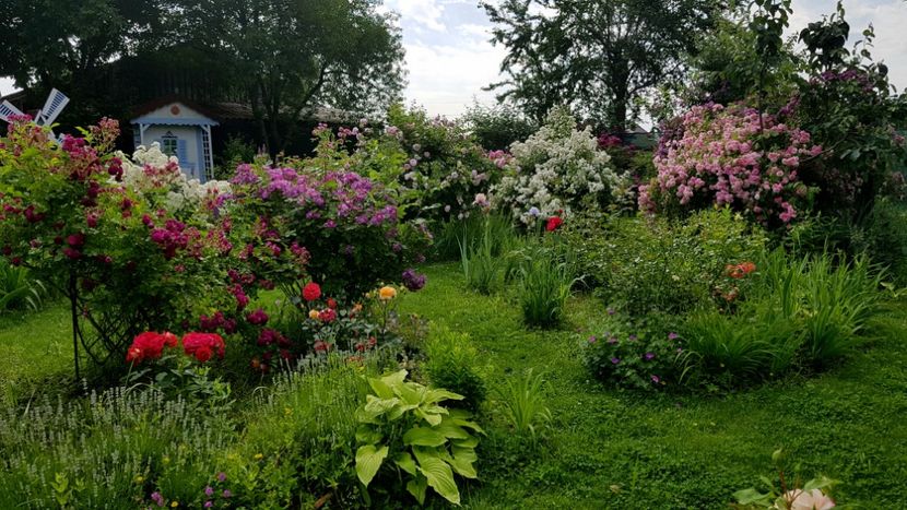  - 2019 Iunie Idilic Garden