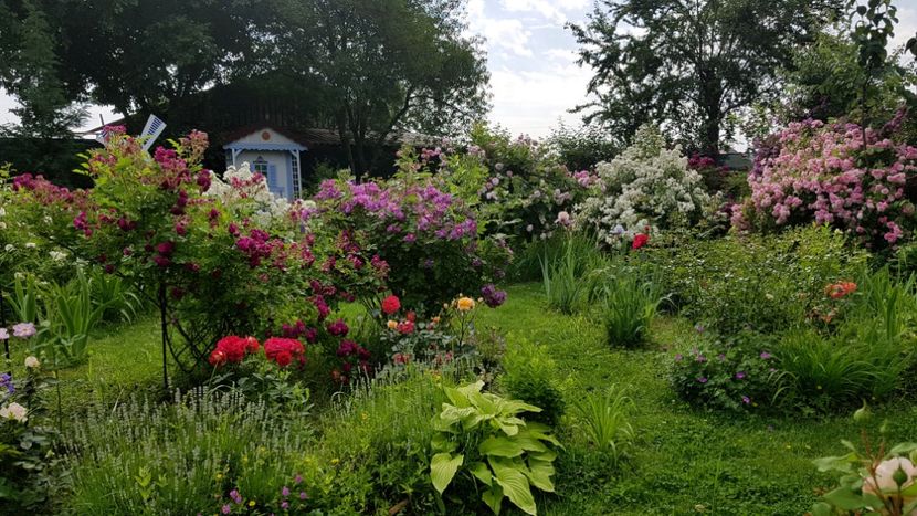  - 2019 Iunie Idilic Garden