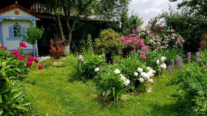  - 2019 Iunie Idilic Garden