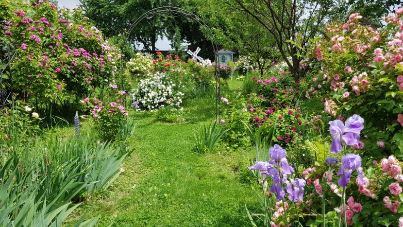  - 2019 Iunie Idilic Garden