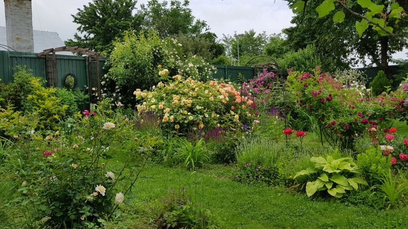 Teasing Georgia - 2019 Iunie Idilic Garden