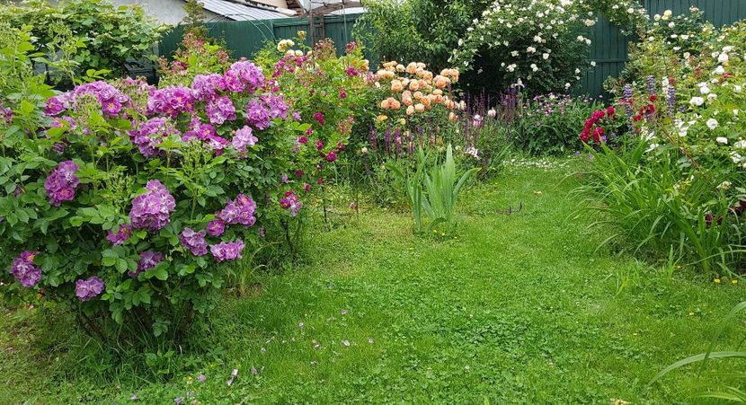  - 2019 Iunie Idilic Garden