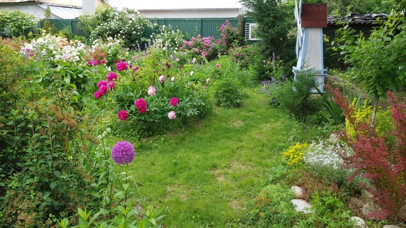  - 2019 Iunie Idilic Garden