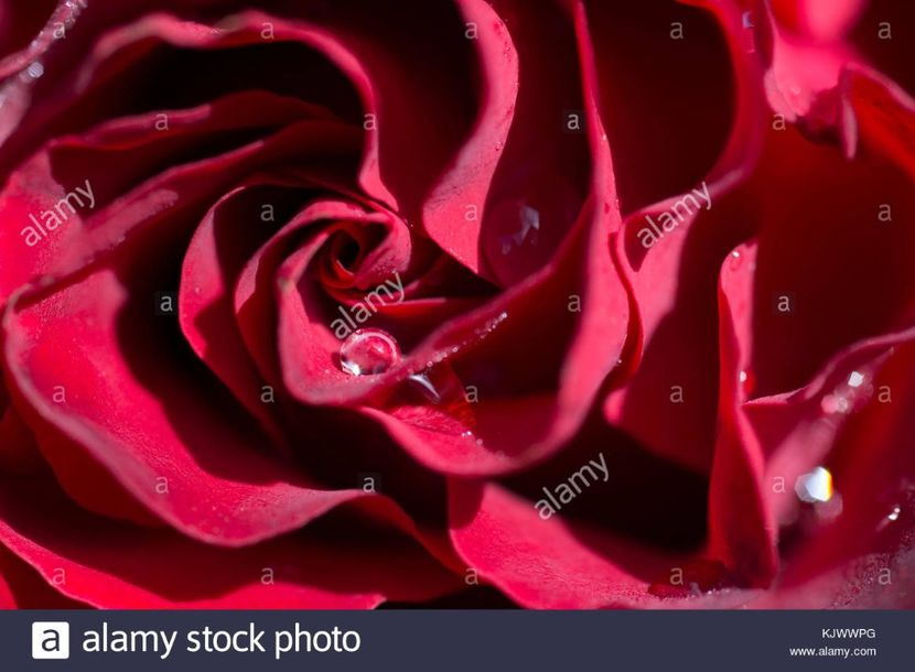 hommage-barbara- 5 - HOMMAGE A BARBARA