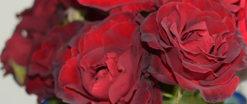 Hommage_a_Barbara__41658.1423040541.1280.1280 - HOMMAGE A BARBARA