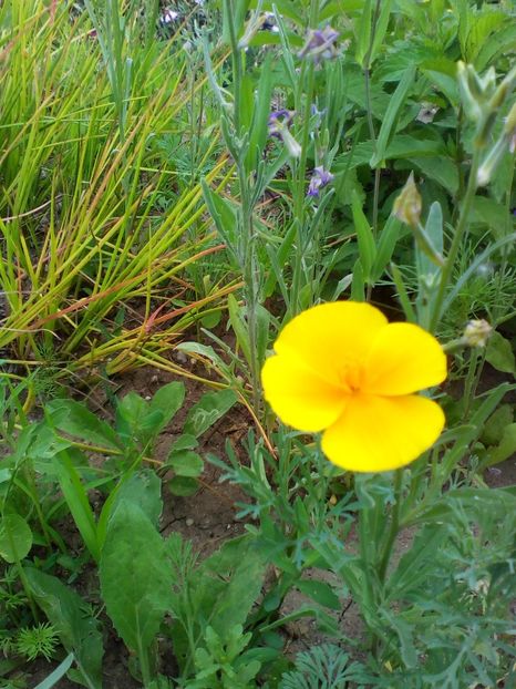  - curtea cu toate cele 2019