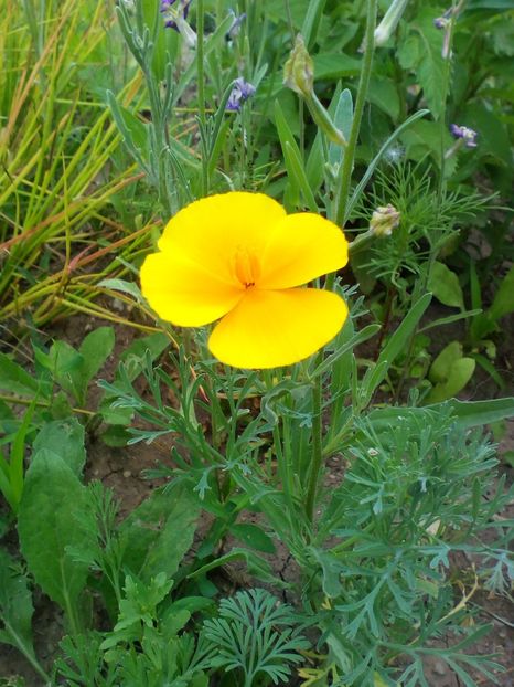  - curtea cu toate cele 2019