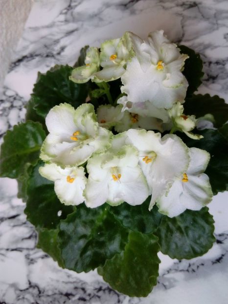 2 iunie 2019 - ZZZ____My sensation