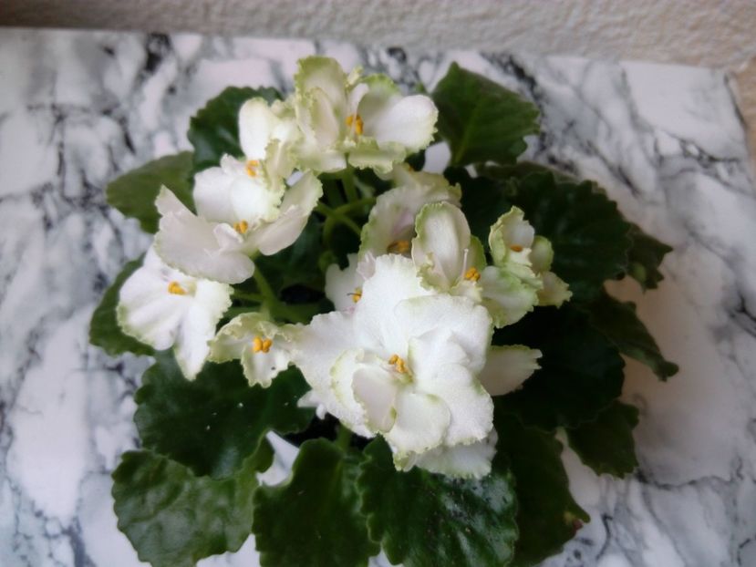 2 iunie 2019 - ZZZ____My sensation