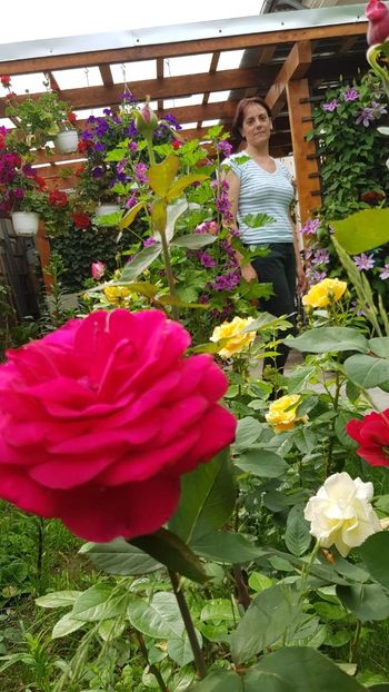 IMG-20190602-WA0005 - Flori 2019