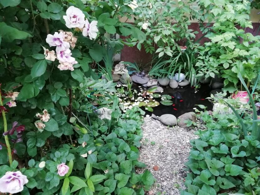  - Gradina 2019