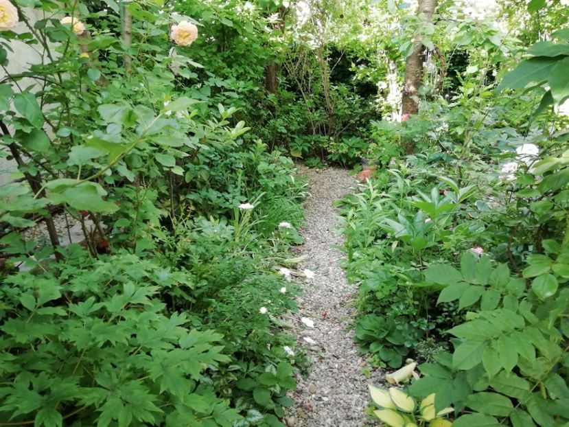  - Gradina 2019