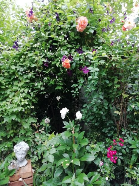  - Gradina 2019