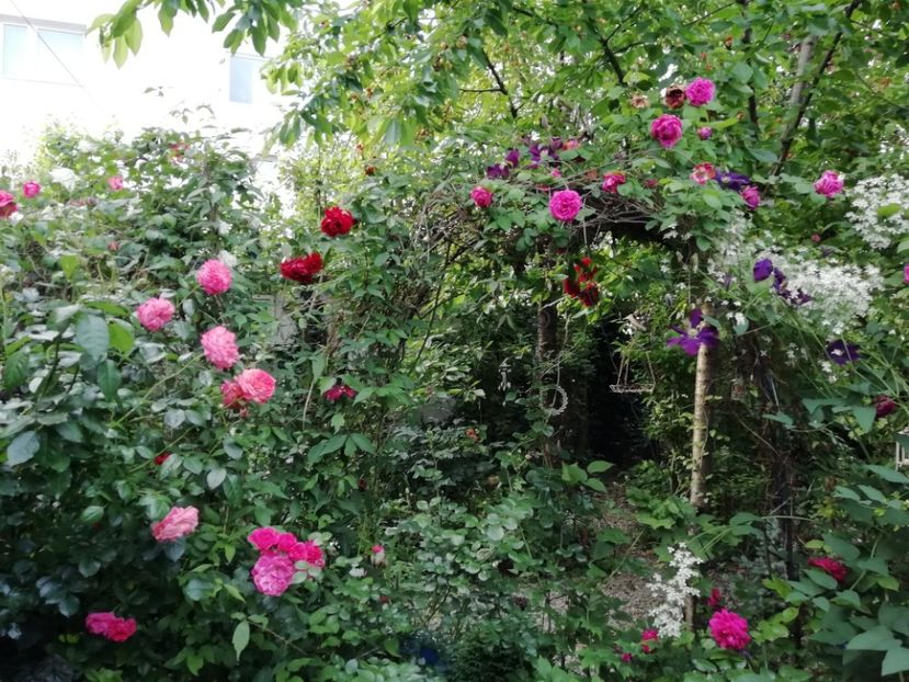  - Gradina 2019