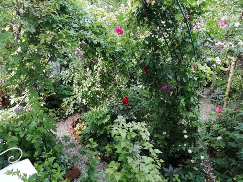  - Gradina 2019