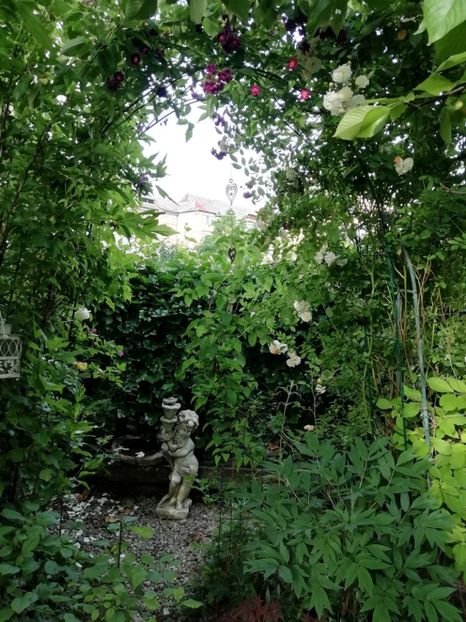  - Gradina 2019