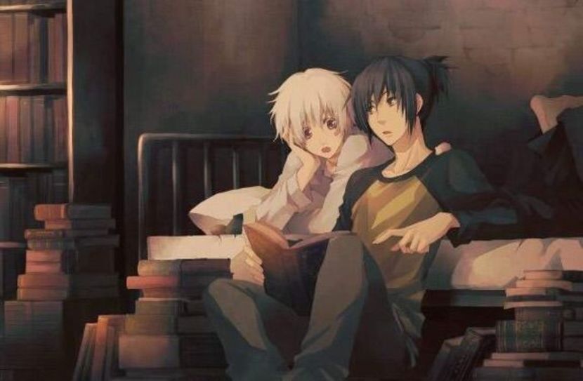 7d6a23bd6cb24e1625541826a091c0ed7ad95005_hq - Nezumi And Shion