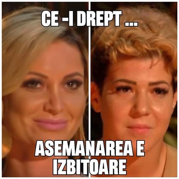  - Sezonul 5 insula iubirii - memes 1