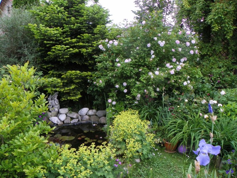 3 iun (68) - Gradina 2019