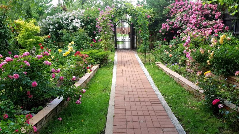 - 2019 Gradina Rozelor