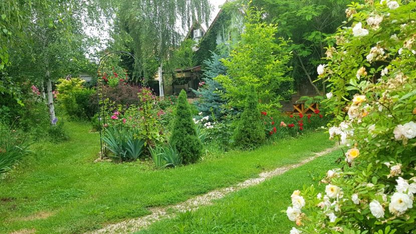  - 2019 Gradina Rozelor