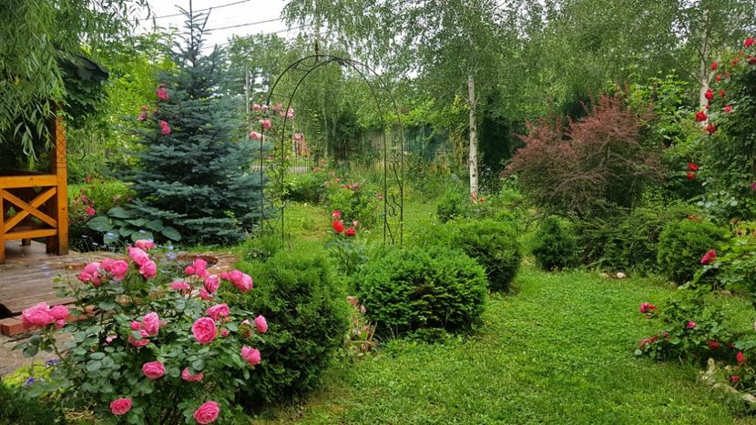  - 2019 Gradina Rozelor