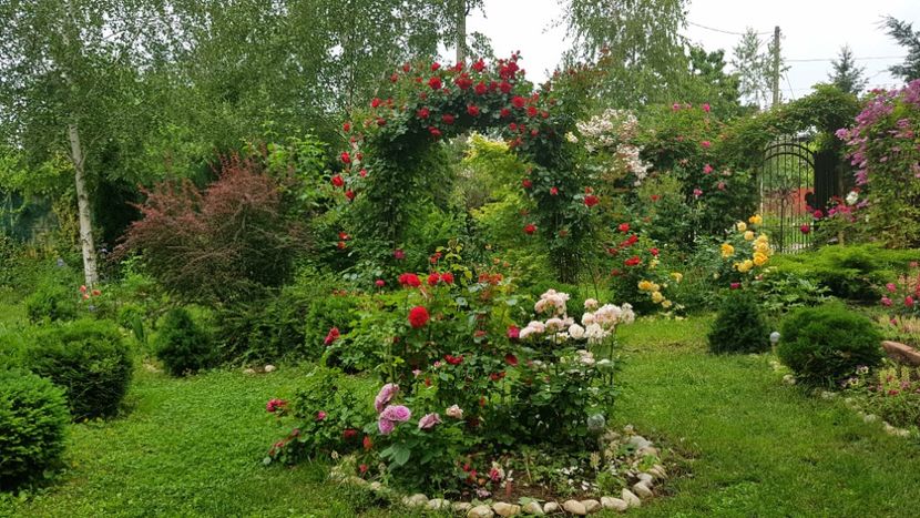  - 2019 Gradina Rozelor