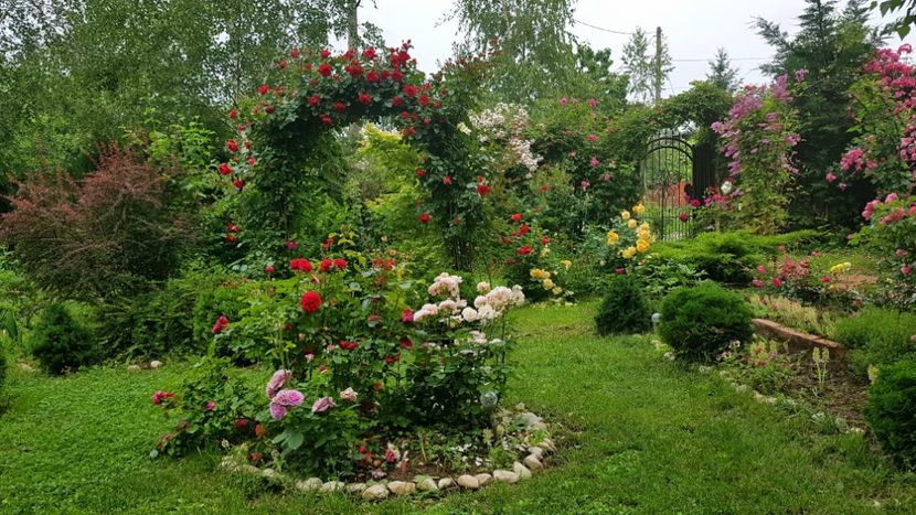  - 2019 Gradina Rozelor